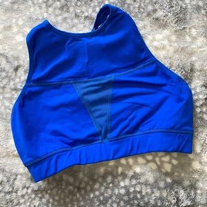 The Chestee - Weightlifting Sports Bra